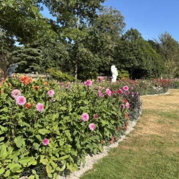 Tip voor toegang tot de Dahliatuin