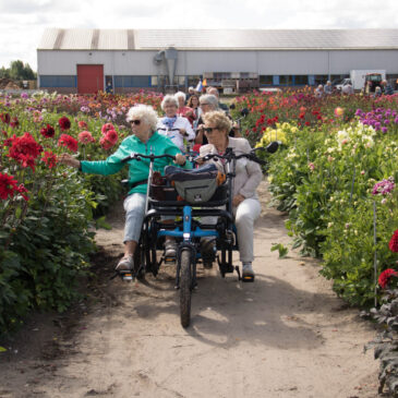 Een kleurrijk dahliaweekend met Fietsmaatjes Teylingen!